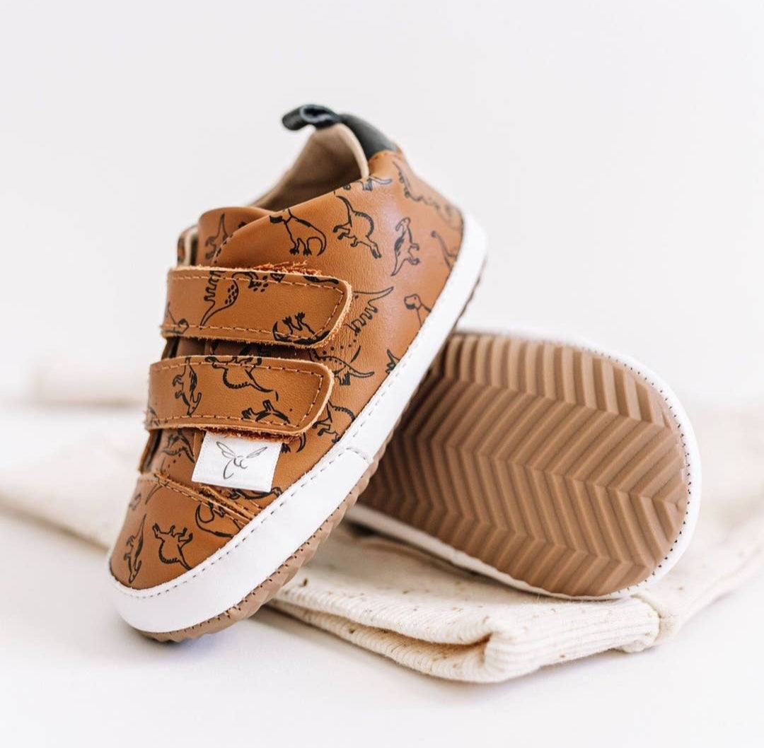Dinosaur Low Top Shoes