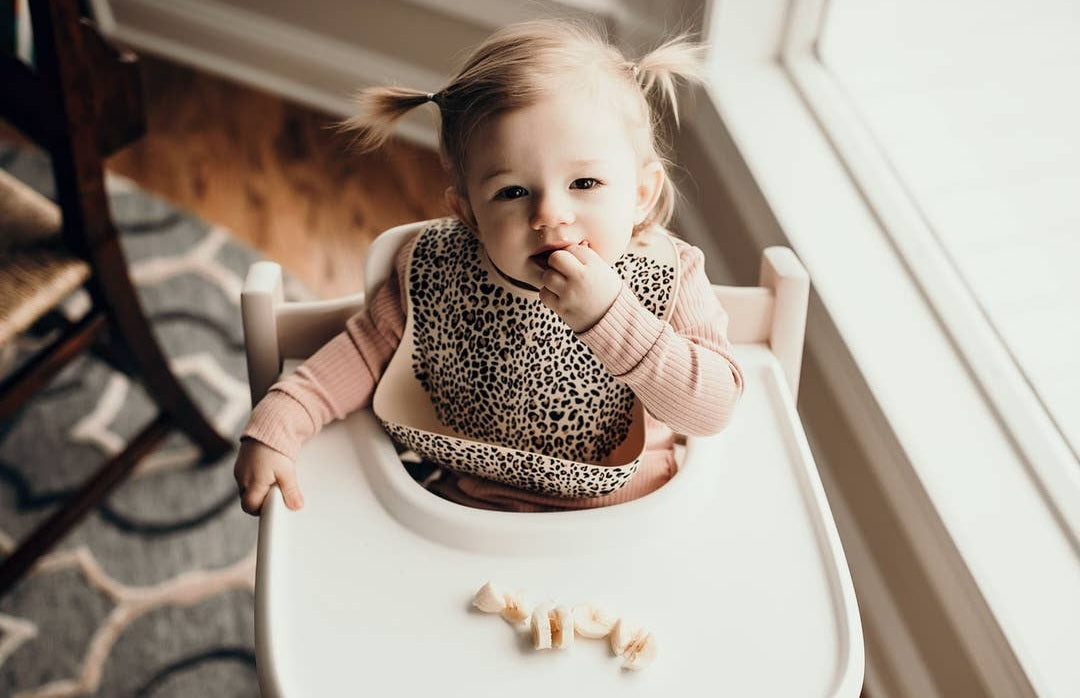 Leopard Print Silicone Bib with Crumb Catcher