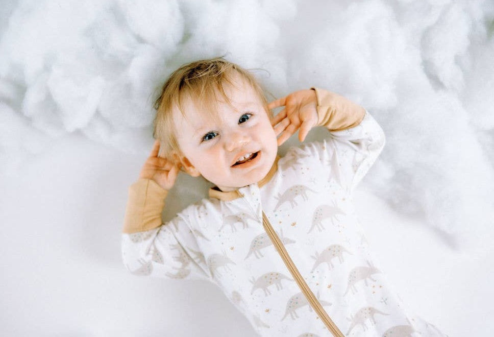 Ari Aardvark Zipper Romper
