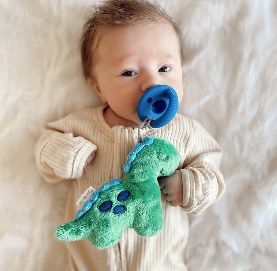 Dino Plush and Pacifier