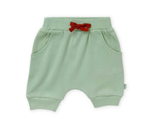 Animal Kingdom Celadon Green shorts